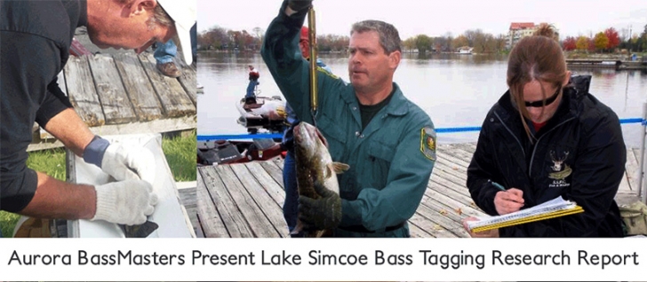 Aurora Bassmasters Present Lake Simcoe Bass Tagging Research Report